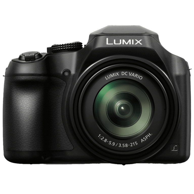 Panasonic Lumix DC-FZ80 18.1 Megapixel Bridge Camera